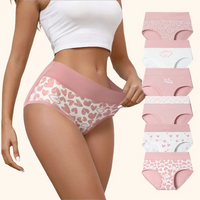 6Pcs